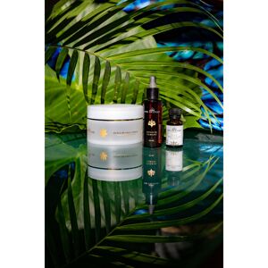 COFFRET 3 HUILES DU PACIFIQUE HUILE VÉGÉTALE DE COCO/HUILE VÉGÉTALE DE TAMANU/HUILE ESSENTIELLE DE NIAOULI