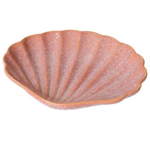 Plate Shell pink