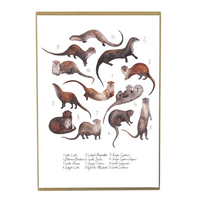 Raft of Otters Art Print
