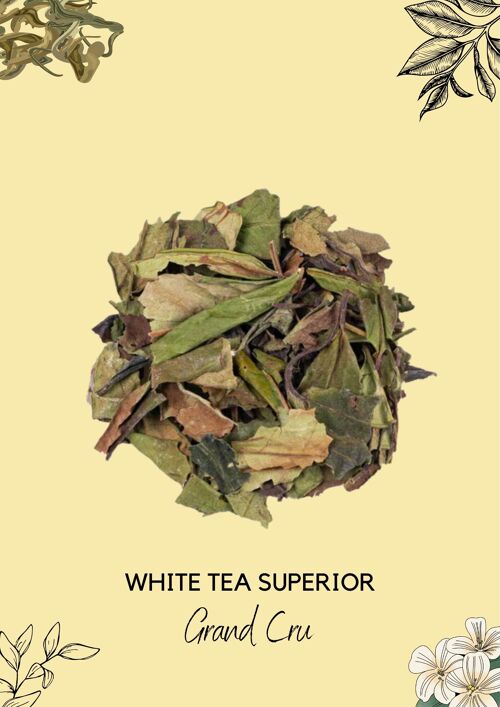 WHITE TEA SUPERIOR - Thé blanc saveur Jasmin - GRAND CRU