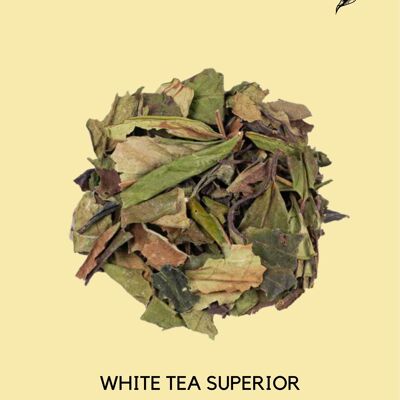 WHITE TEA SUPERIOR - White tea with Jasmine flavor - GRAND CRU