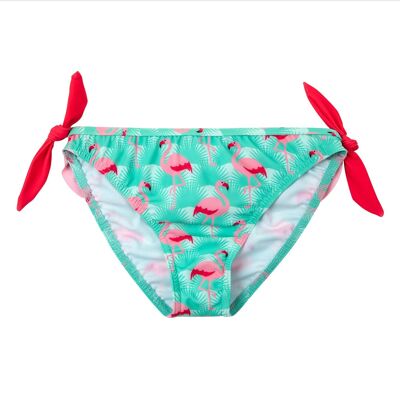Flamingo swim briefs