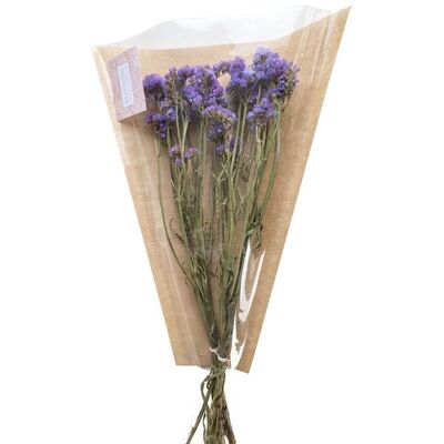 fleurs séchées violet statique