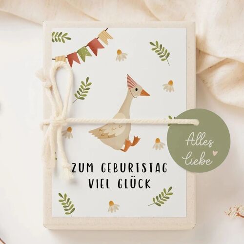 Geschenkschachtel Geburtstag Gans - Schachtel Geldgeschenk