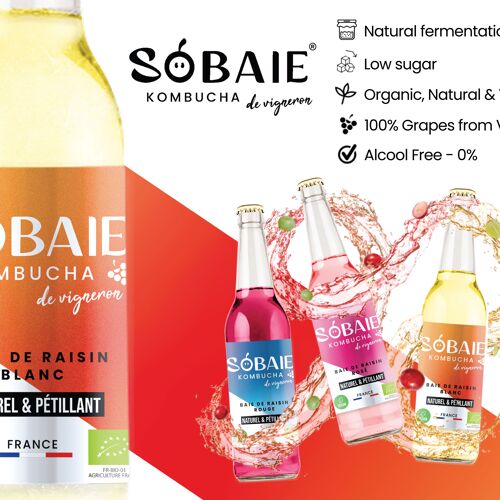 Pack découverte: Sobaie Kombucha de vigneron (Blanc - Rosé - Rouge)