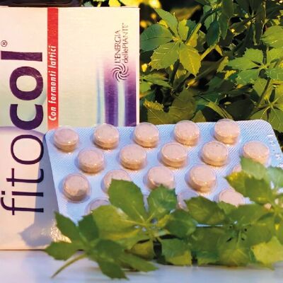 Fitocol Compresse Food Supplement with Lactic Ferments – Fights Abdominal Bloating, Spastic Colitis – With Agar Agar, Marshmallow and Fennel – Made in Italy.