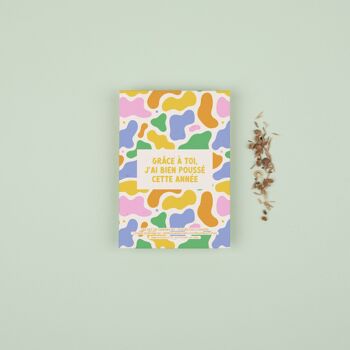 Grâce à toi j'ai bien poussé cette année - Sachet de graines de Fleurs des Champs 1