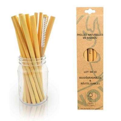 Juego de 10 pajitas de bambú biodegradables y reutilizables