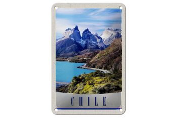 Signe de voyage en étain, 12x18cm, montagnes du chili, mer, Nature, neige 1