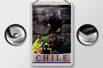 Signe en étain de voyage 12x18cm, signe de vacances traditionnel, raisins de vin du chili 2