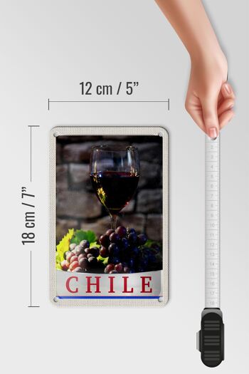 Signe en étain de voyage 12x18cm, signe de vacances traditionnel, raisins de vin du chili 5