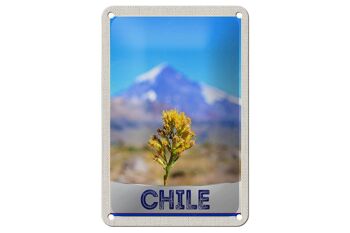 Panneau de voyage en étain 12x18cm, décoration de vacances dans les montagnes de fleurs du chili 1