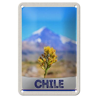 Blechschild Reise 12x18cm Chile Blume Gebirge Urlaub Dekoration