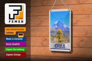 Panneau de voyage en étain 12x18cm, décoration de vacances dans les montagnes de fleurs du chili 3