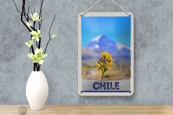 Panneau de voyage en étain 12x18cm, décoration de vacances dans les montagnes de fleurs du chili 4