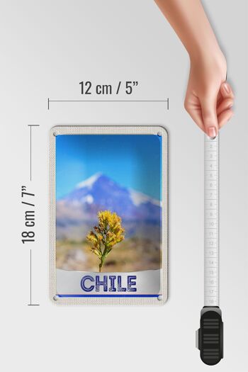 Panneau de voyage en étain 12x18cm, décoration de vacances dans les montagnes de fleurs du chili 5