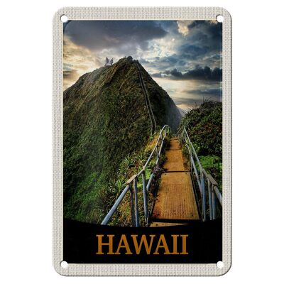 Targa in metallo da viaggio 12 x 18 cm, isola delle Hawaii, spiaggia, palme, natura