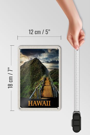 Panneau de voyage en étain, 12x18cm, île hawaïenne, plage, palmiers, panneau naturel 5