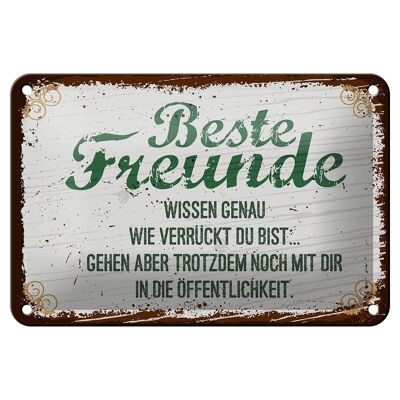 Tin sign saying Best friends crazy know exactly 12x18cm sign