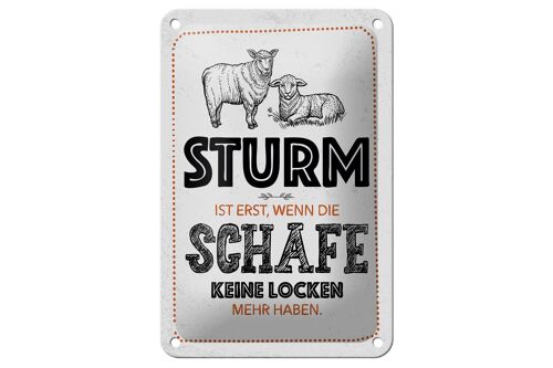 Blechschild Spruch lustig Sturm wenn Schafe Locken 12x18cm Schild