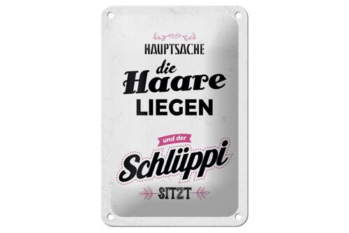 Blechschild Spruch Hauptsache Haare liegen Schlüppi 12x18cm Schild