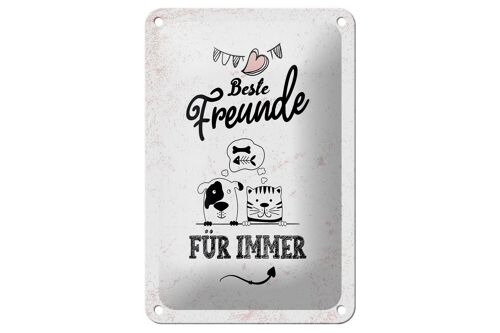 Blechschild Spruch Beste Freunde für immer 12x18cm Dekoration