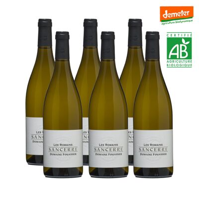 Sancerre - Domaine Fouassier - Les Romains 2021 - ORGÁNICO y Biodinámico