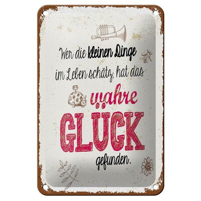 Blechschild Spruch Wer kleine Dinge schätzt hat Glück 12x18cm Schild