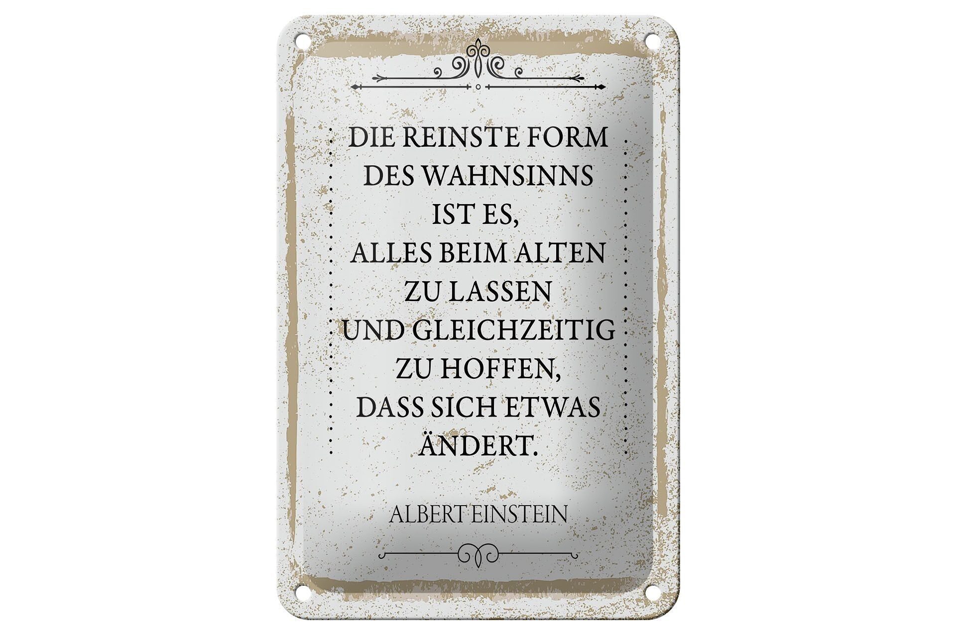 Letrero de chapa que dice Einstein, la forma más pura de locura, letrero de 12x18 cm