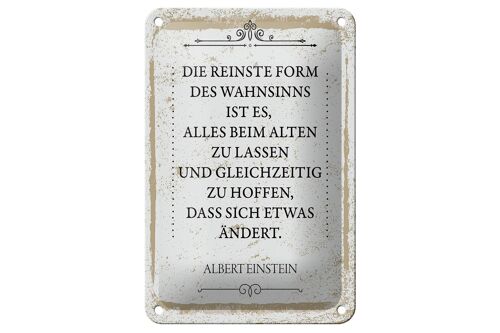Blechschild Spruch Einstein reinste Form Wahnsinns 12x18cm Schild
