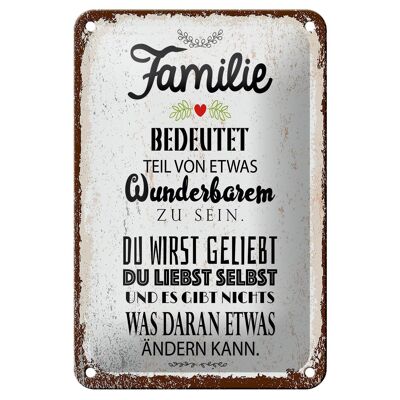 Blechschild Spruch Familie Teil von etwas wunderbarem 12x18cm Schild