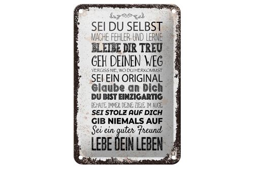 Blechschild Spruch Sei du selbst mache Fehler lerne 12x18cm Schild