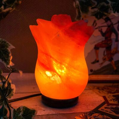 Lampada di sale artigianale dell'Himalaya Tulipano