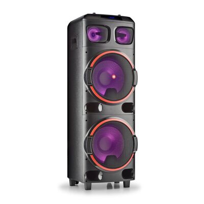800W DOUBLE 12" WOOFER SPEAKER NGS WILD DUB 2, COMPATIBLE WITH BLUETOOTH & TWS TECHNOLOGY. USB/MICRO SD/AUX IN. REMOTE CONTROL
