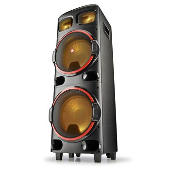 DOUBLE HAUT-PARLEUR WOOFER 12" 800W NGS WILD DUB 2, COMPATIBLE AVEC LA TECHNOLOGIE BLUETOOTH & TWS. Entrée USB/MICRO SD/AUX. TÉLÉCOMMANDE 3