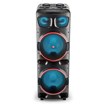 DOUBLE HAUT-PARLEUR WOOFER 12" 800W NGS WILD DUB 2, COMPATIBLE AVEC LA TECHNOLOGIE BLUETOOTH & TWS. Entrée USB/MICRO SD/AUX. TÉLÉCOMMANDE 9