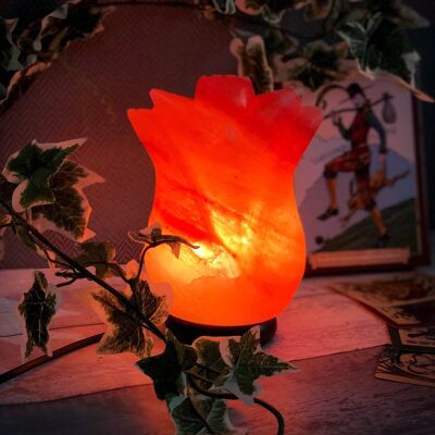 Lampe à sel de l'Himalaya fabriquée en forme de tulipe (petite)