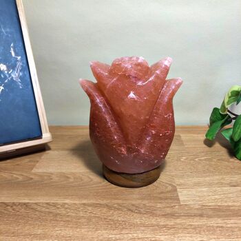 Lampe à sel de l'Himalaya fabriquée en forme de tulipe (petite) 2