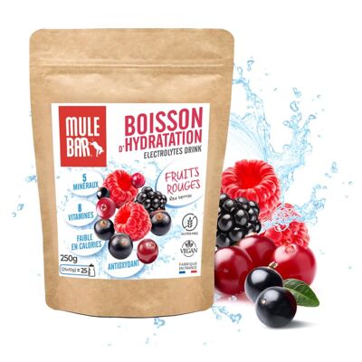 Powdered hydration drink to dilute red fruits 250g