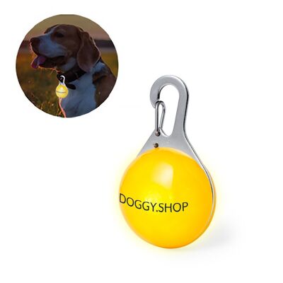 Safety tag for dogs