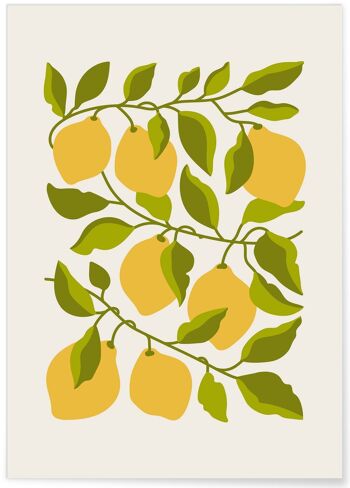 Affiche Citronnier 5