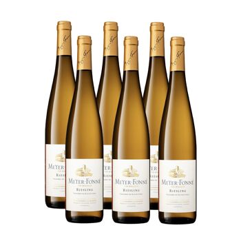 Riesling - Domaine Meyer Fonné 2021