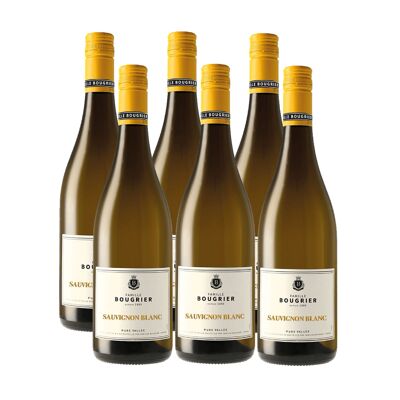 Touraine - Sauvignon Blanc "Confidencias" Famille Bougrier 2021