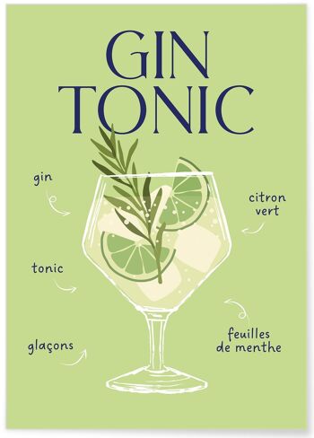 Affiche Cocktail Gin Tonic 2 5
