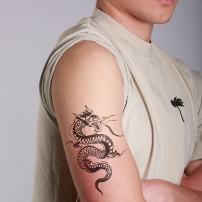 Ryū dragon japonais