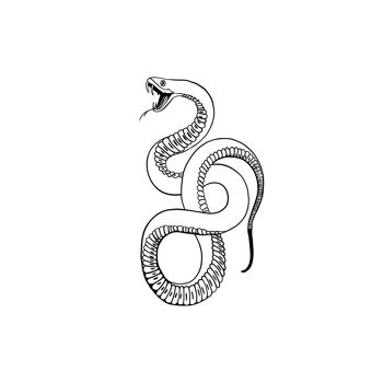 Serpent féroce 2