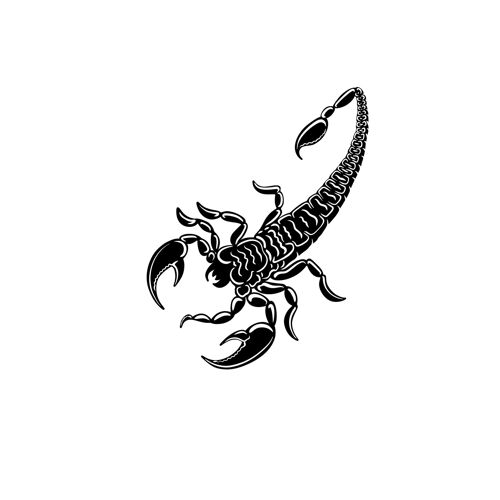 Scorpion royal