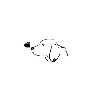 Rio Labrador