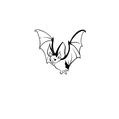 Nightfall Bat