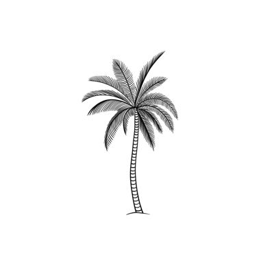 Tropische Palme